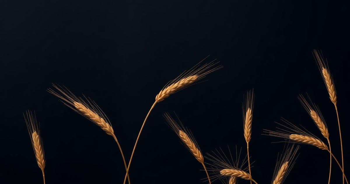 Marketing jurídico para advogados do agronegócio — Motus Marketing